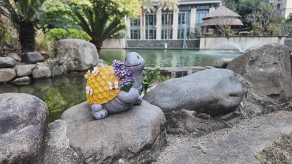 Solar Lighted Bee Turtle Garden Statue Video